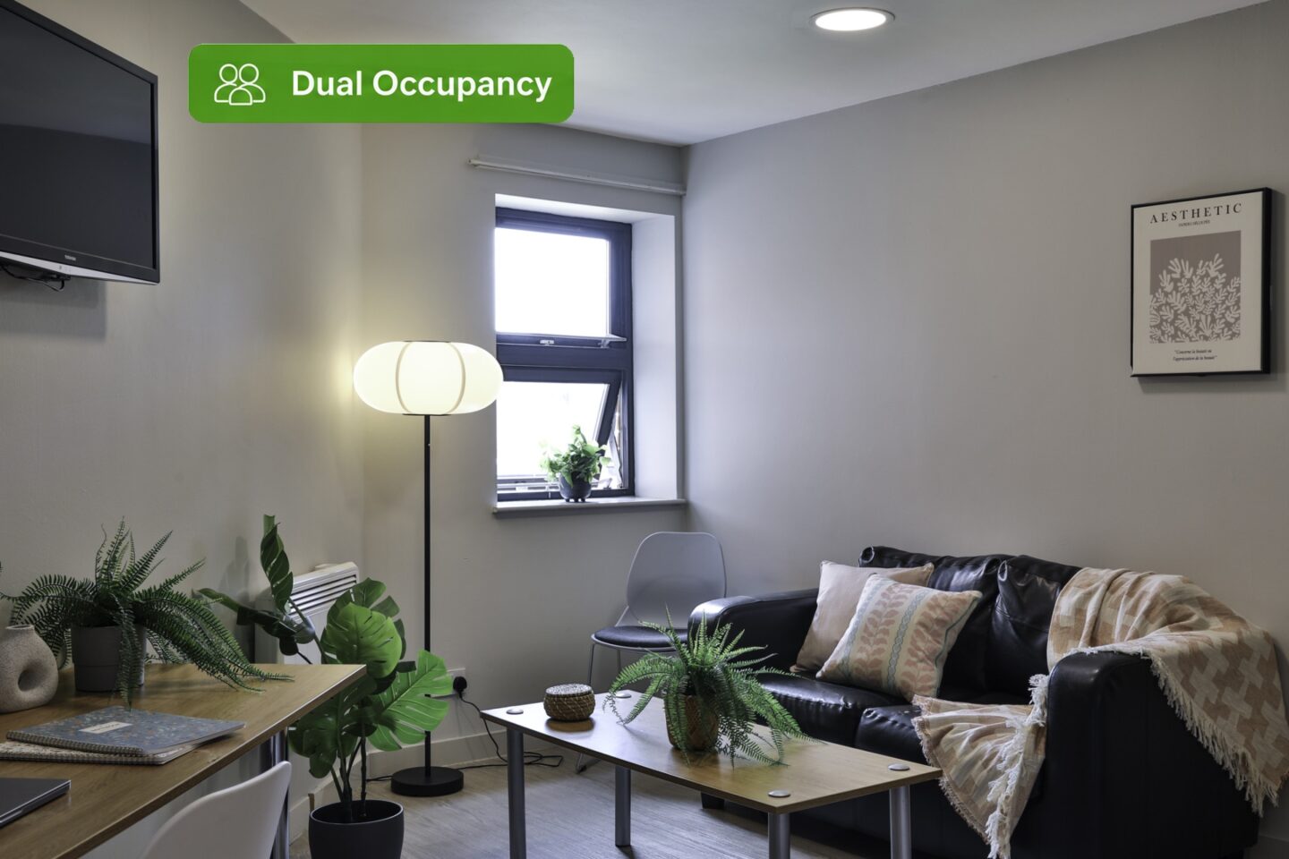 Photo of 1 Bed Apartment